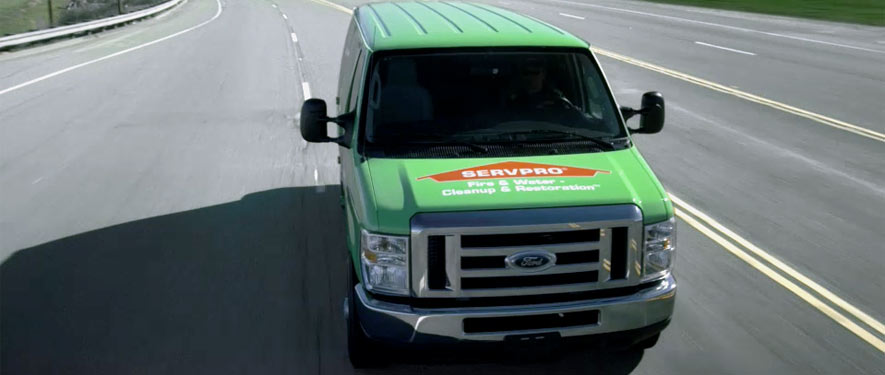 La Mesa, CA mold remediation