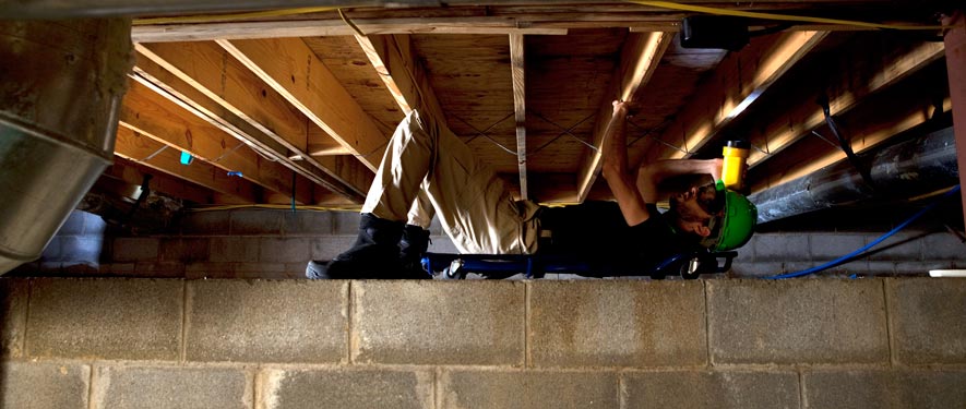 La Mesa, CA mold removal