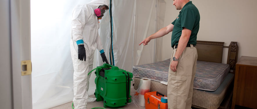 La Mesa, CA mold removal process